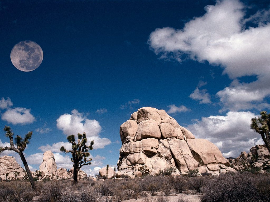 Full Moon at Joshua Tree, California